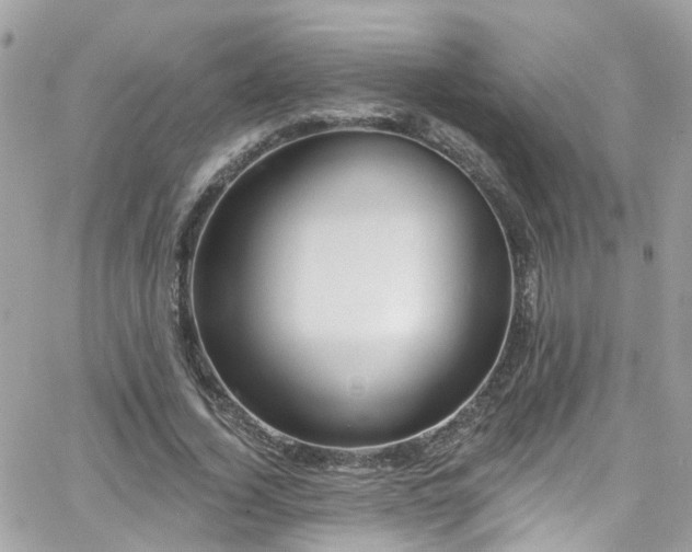 X0000066530732200603241401