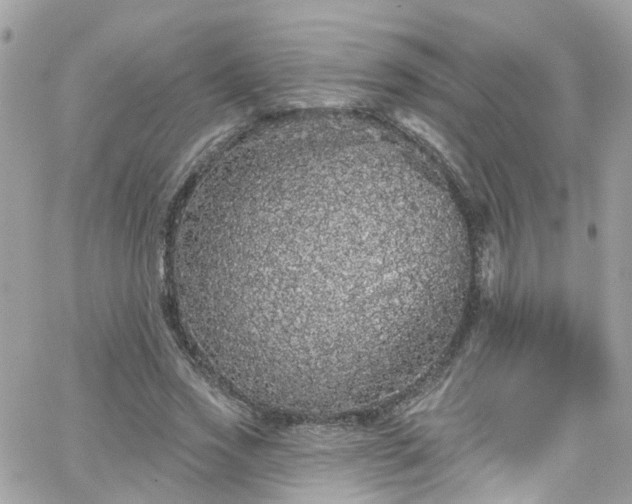 X0000066530733200603241401