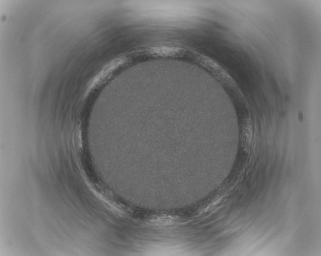 X0000066530734200603241401