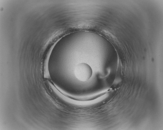 X0000066530735200603241401