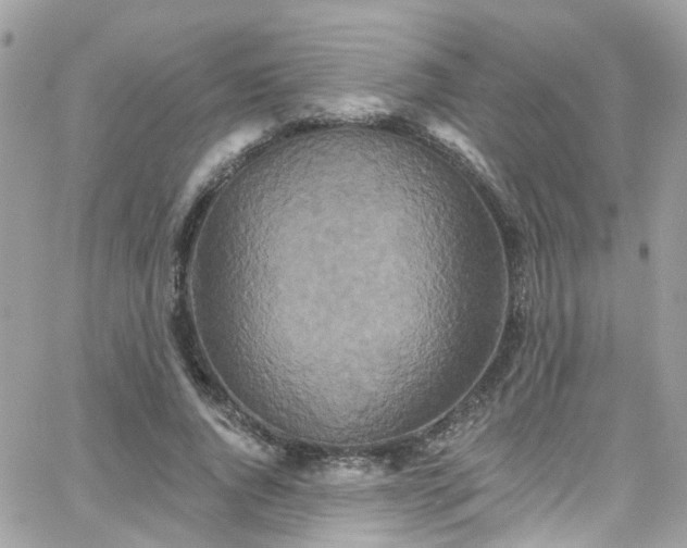 X0000066530736200603241401