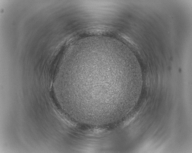 X0000066530737200603241401