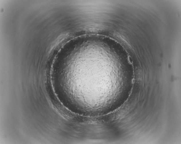 X0000066530738200603241401