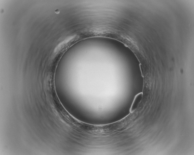 X0000066530740200603241401