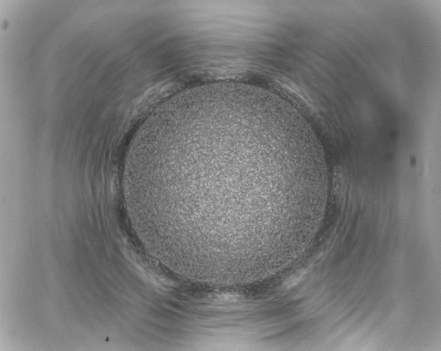 X0000066530741200603241401