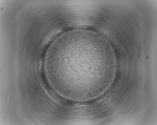 X0000066530742200603241401