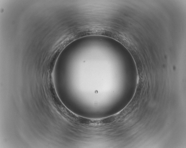 X0000066530744200603241401