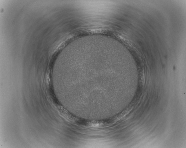 X0000066530746200603241401