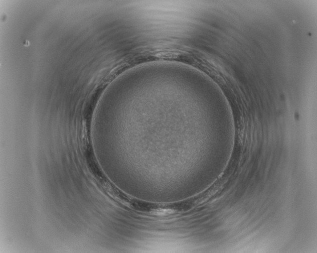 X0000066530748200603241401