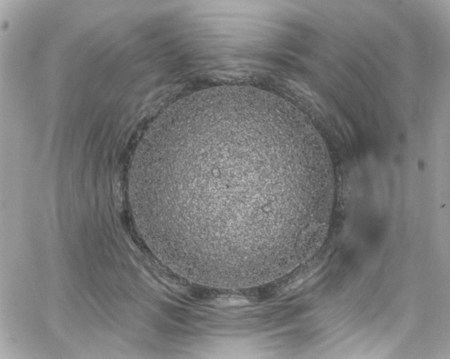 X0000066530749200603241401