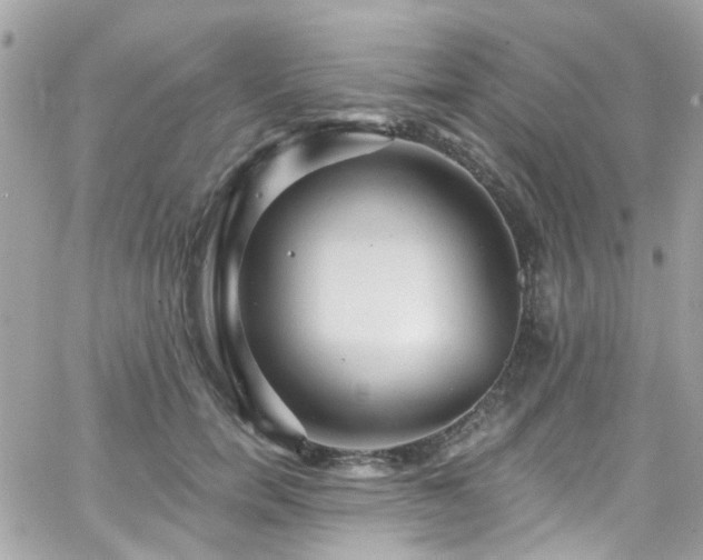 X0000066530750200603241401