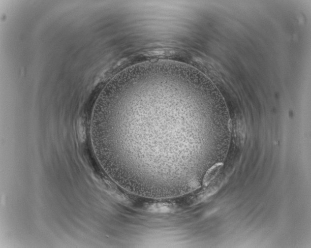 X0000066530751200603241401