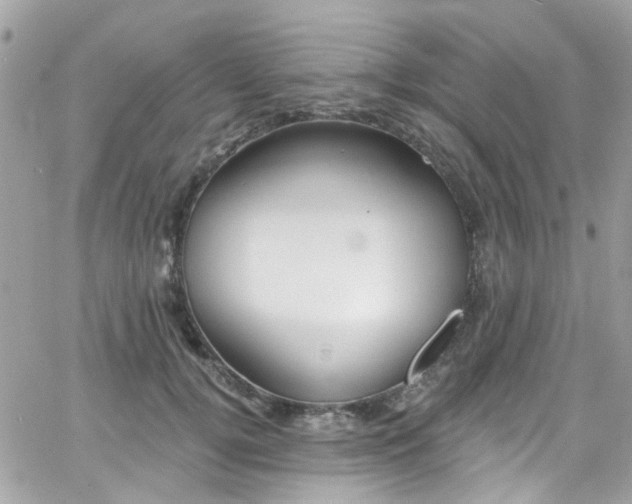 X0000066530752200603241401