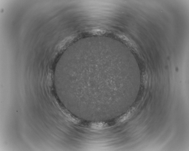 X0000066530757200603241401