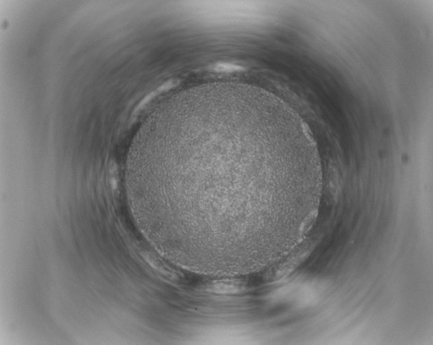 X0000066530758200603241401