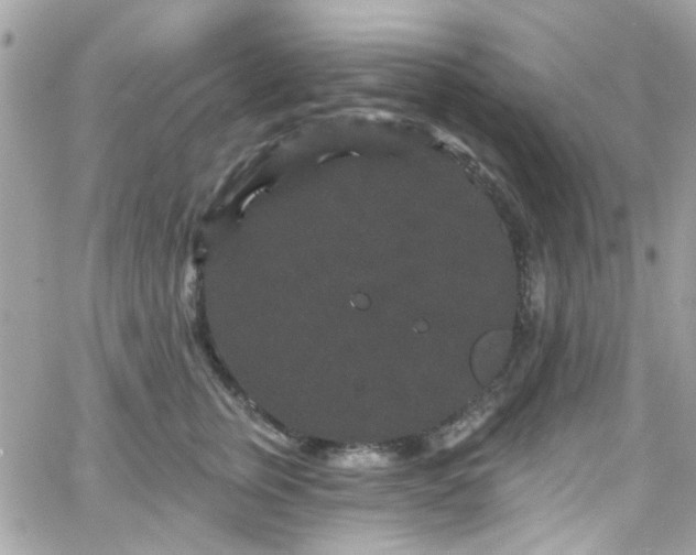 X0000066530759200603241401