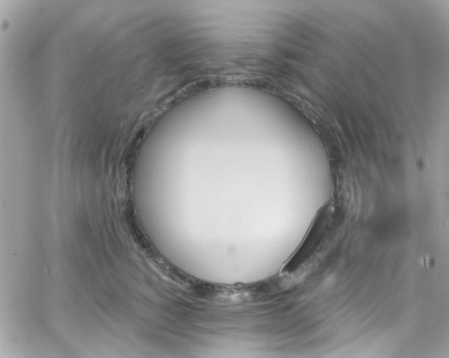 X0000066530760200603241401