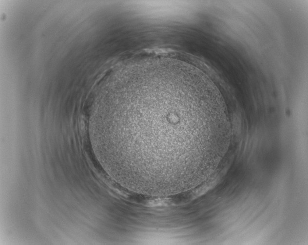 X0000066530761200603241401