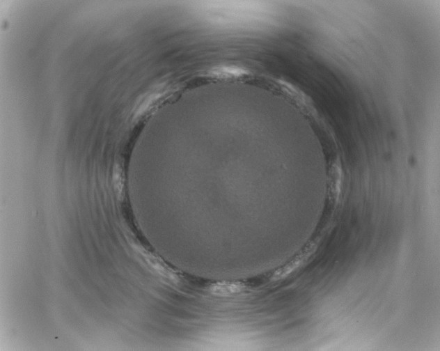 X0000066530762200603241401