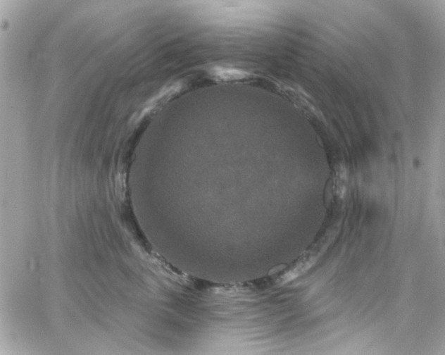 X0000066530763200603241401