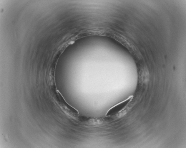 X0000066530764200603241401