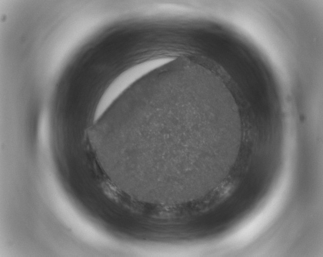 X0000066530765200603241401