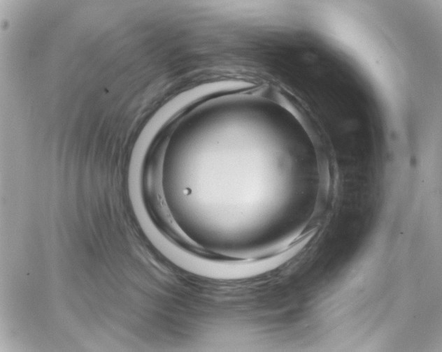 X0000066530766200603241401