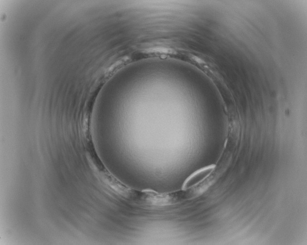 X0000066530767200603241401