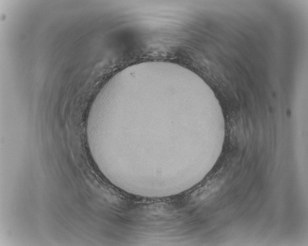 X0000066530769200603241401