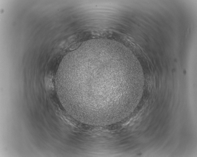 X0000066530770200603241401