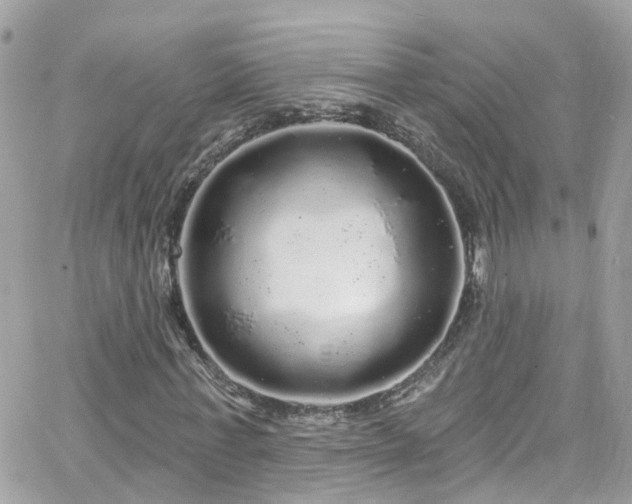 X0000066530771200603241401