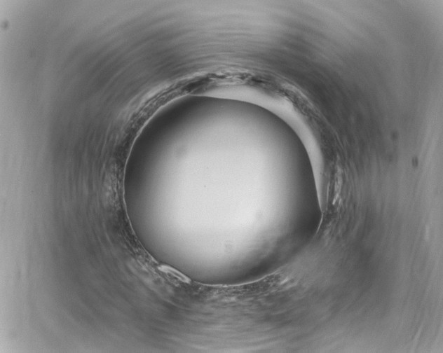 X0000066530773200603241401