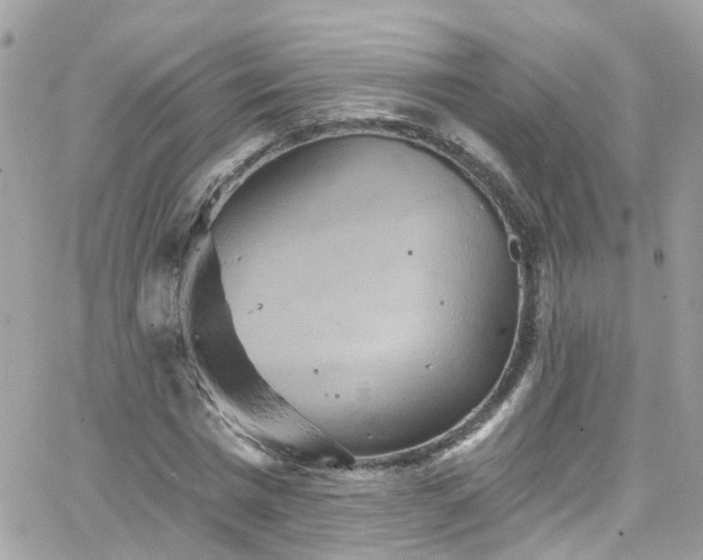 X0000066530777200603241401