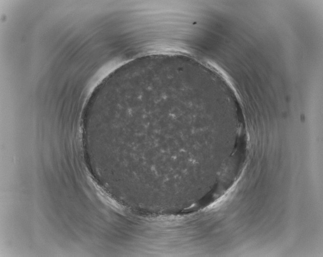 X0000066530779200603241400