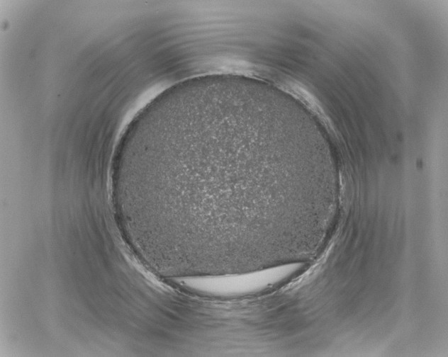 X0000066530780200603241400