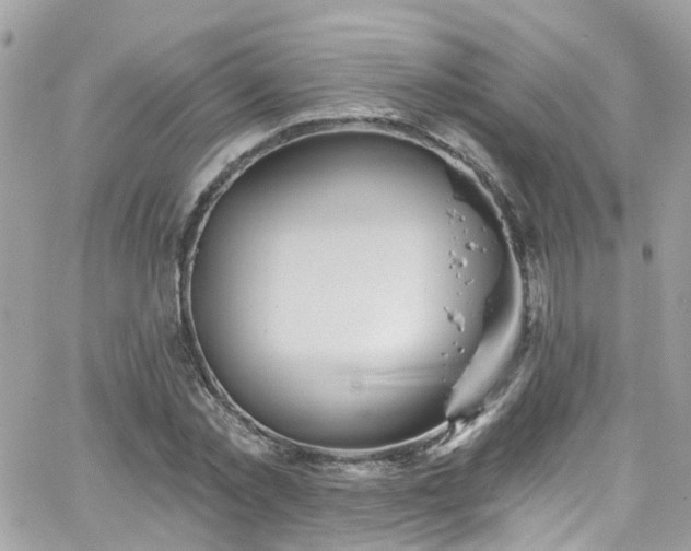 X0000066530781200603241400