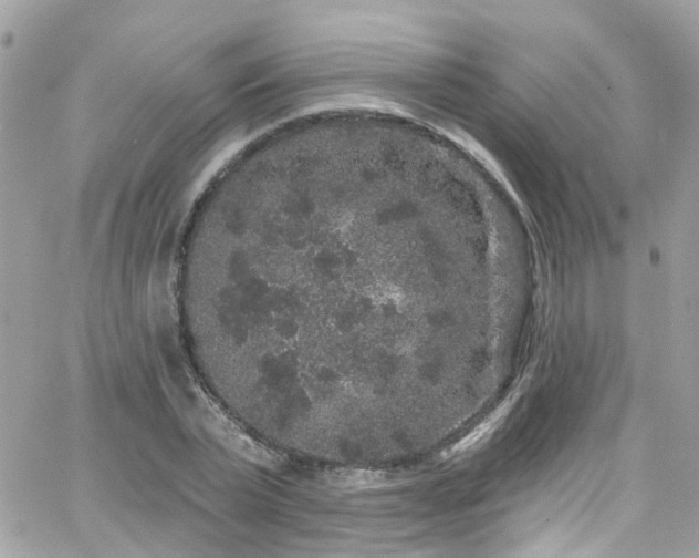 X0000066530783200603241400