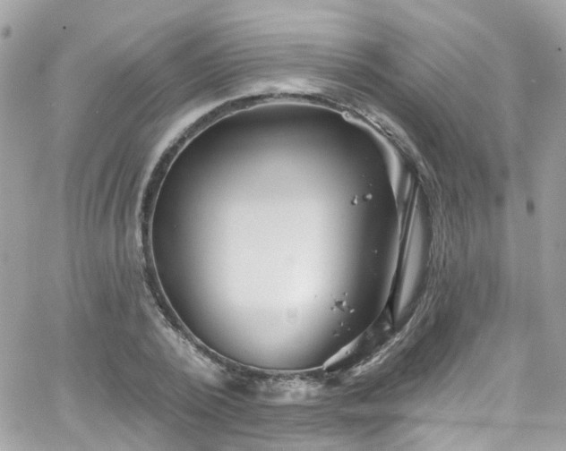 X0000066530784200603241400