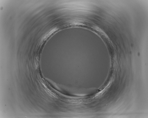 X0000066530785200603241400