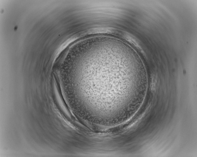 X0000066530786200603241400