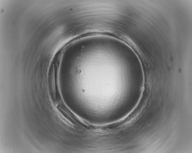 X0000066530787200603241400