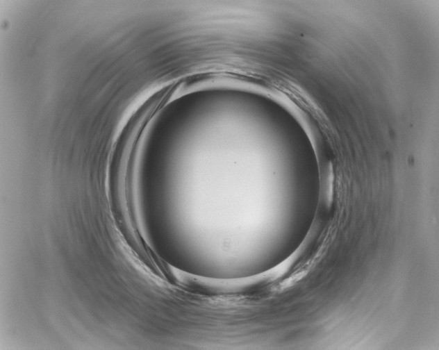 X0000066530788200603241400