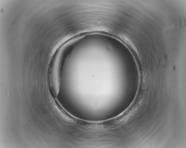 X0000066530789200603241400