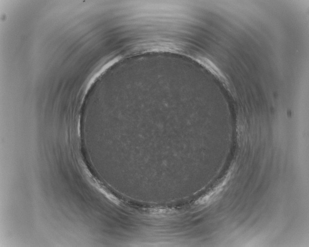 X0000066530790200603241400