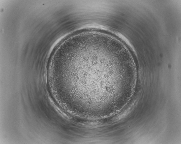 X0000066530791200603241400