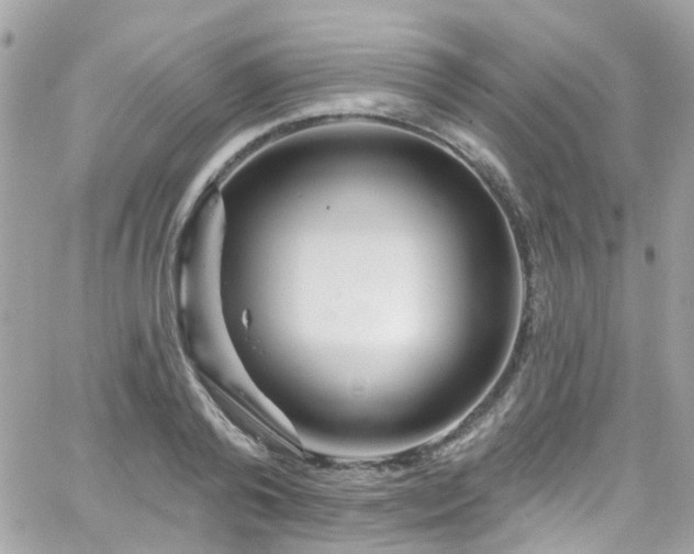 X0000066530792200603241400