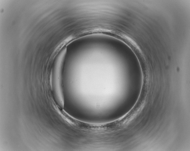 X0000066530793200603241400