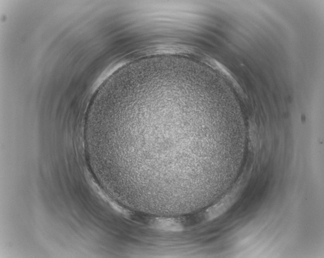 X0000066530794200603241400