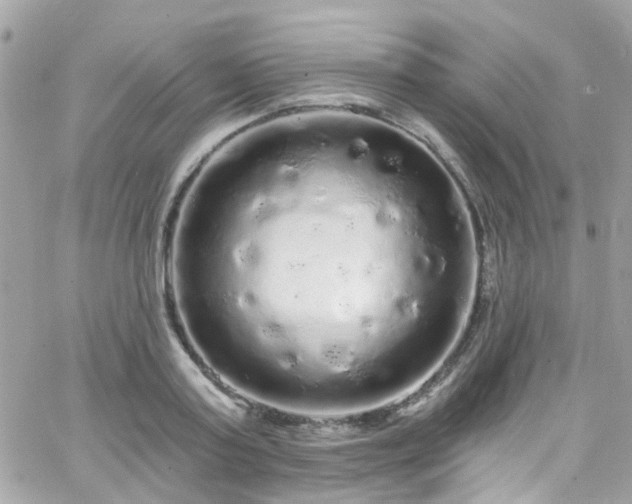 X0000066530795200603241400