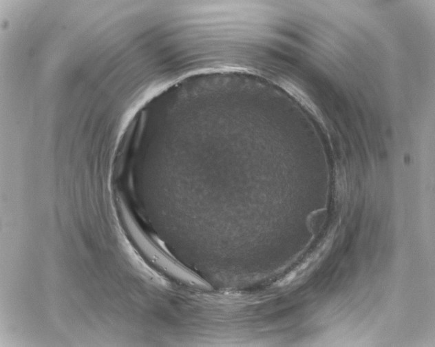 X0000066530797200603241400